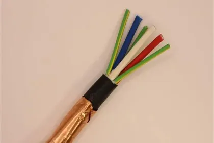 0.6/1KV VSD CABLE WS52W